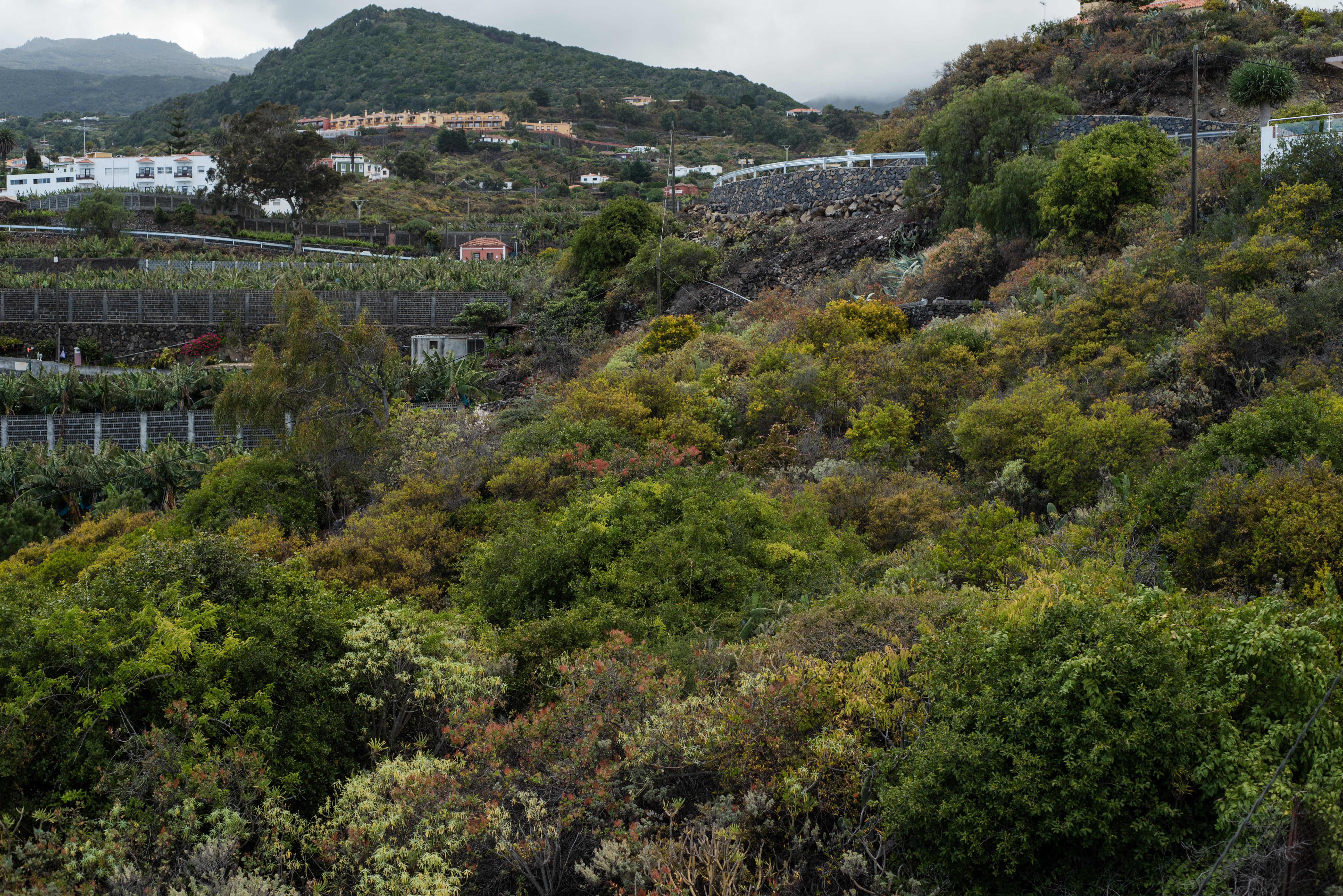 Apartamentos Mayoysa Breña Baja Exteriér fotografie